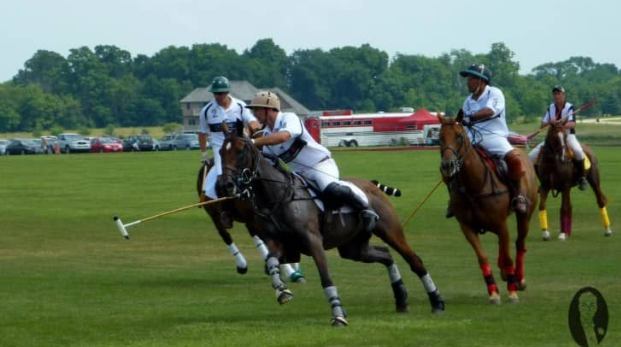 Olahraga Polo: Aturan Dasar yang Wajib Dipahami Pemula